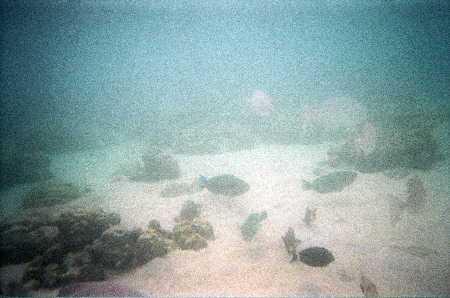 26570014