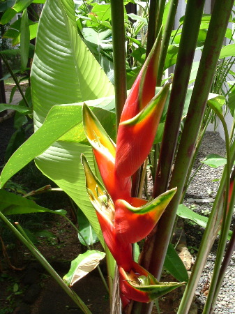 DSCF0106