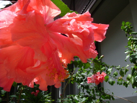 DSCF0108