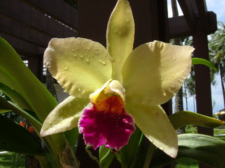 DSCF0114