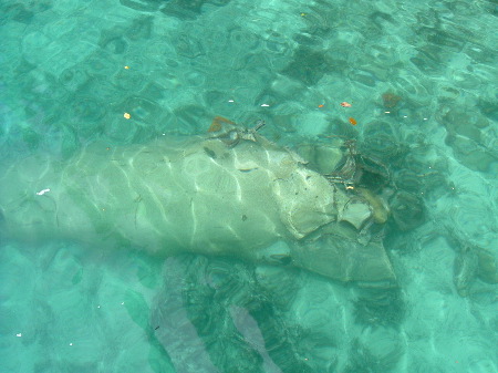 DSCF0095